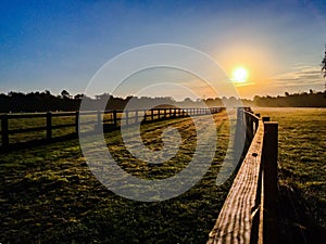 Fence line