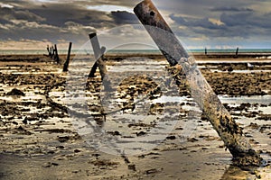 Fence line beach on a cloudy day in Ningaloo