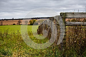 Fence line on a cloudy autumn day. Old wood and barbed wire tall weeds