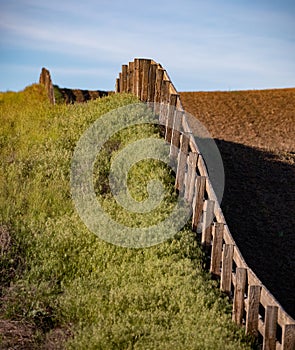 Fence line through the field