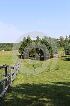 Fence Line on Northern Canadian Acreage