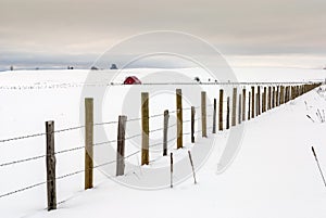 Fence line and red barn winter