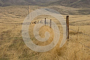 Fence line in the sage brush