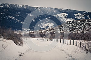 Fence-lined Country Road During Winter