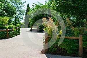 Fence with Lush Green Plants next to a Path at a Downtown Chicago Park