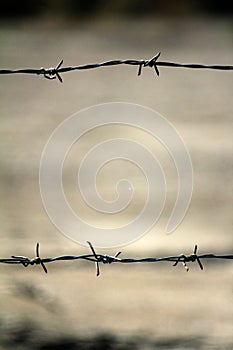 Fence made of barbed wire