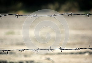 Fence made of barbed wire