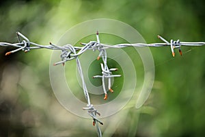 Fence made of barbed wire