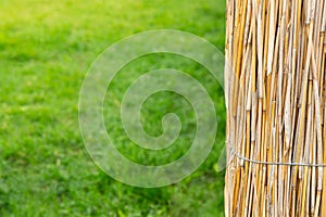 Fence made of dry bamboo stalks against background of green artificial lawn grass. Template for placing products or text