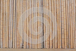 Fence made with dry bamboo sticks as background, closeup