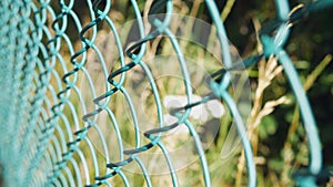 A fence made of metal mesh on the background of nature in a blur