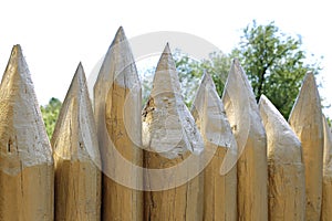 Fence made of sharpened pointed logs