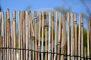 A fence made of twigs garden