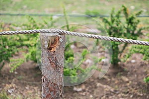 Fence made of wood and rope in the garden with plants in the background