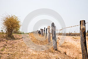 Fence made of wooden dry tree and metal wire in Tay Nguyen, Central Highlands of Vietnam