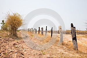 Fence made of wooden dry tree and metal wire in Tay Nguyen, Central Highlands of Vietnam