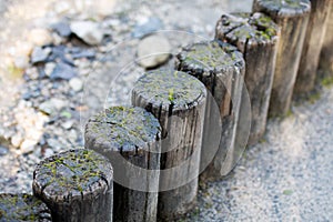 Fence made of wooden posts covered with moss in the forest