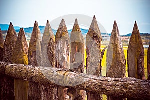 Fence made of wooden stakes