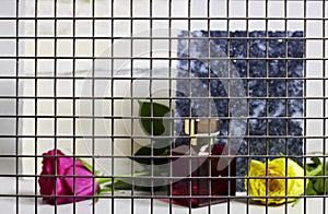 fence with marble podium or stone beauty with perfume bottle, pink and yellow rose flowers.