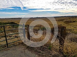 Fence in the meadow to keep the cows and goats in