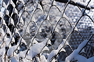 The fence from the metal gauze with cells the chain-link covered with snow