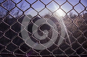 Fence of metal mesh covered with frost. The sun shines early in the morning on the frozen grid.