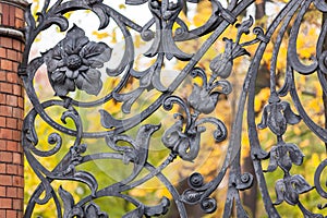 Fence of the Mikhailovsky Park