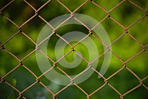 Fence netting chain-link in focus on a background of greenery