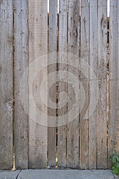 Fence from old weathered pine boards. Texture of natural aged wood. Woodworm holes, rusty nails. Creative vintage background
