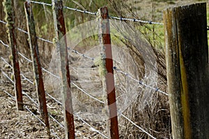 Fence with Old wooden posts and new wire