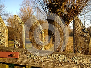 fence old wooden willow field spring road in the countryside