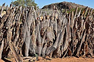 Fence of an Ovahimba kraal