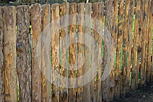 Fence, palings of unrefined wood.