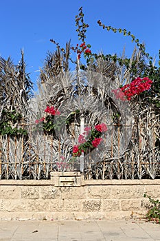 Fence in a park on the shores of the Mediterranean