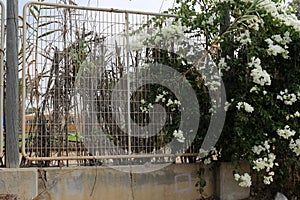 Fence in a park on the shores of the Mediterranean