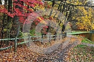 Fence And Path In Autumn