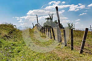 Fence, path, and clouds meeting behind a green hill