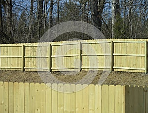 Fence of Pine Wood
