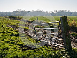 Fence in polder Eempolder with traffic on motorway at horizon, Netherlands