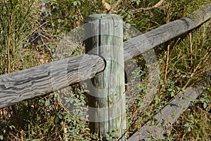 Fence Post