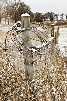 Fence Post with Barbed Wire