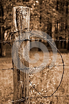 Fence Post and Barbed Wire