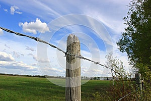 Fence Post