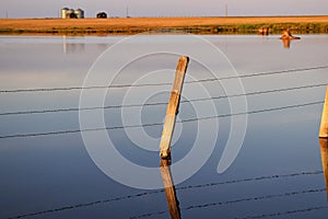 Fence Post in the water