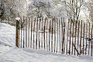 fence posts in front of trees in a snowy garden