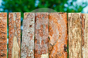 Fence of rough pine boards