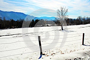 Fence row in front of mountains