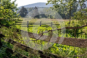 Fence running though field