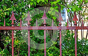 Fence with rusty spear heads