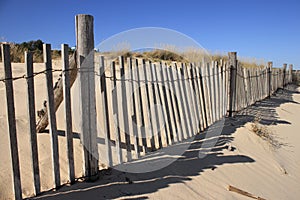 Fence on Sand Dune